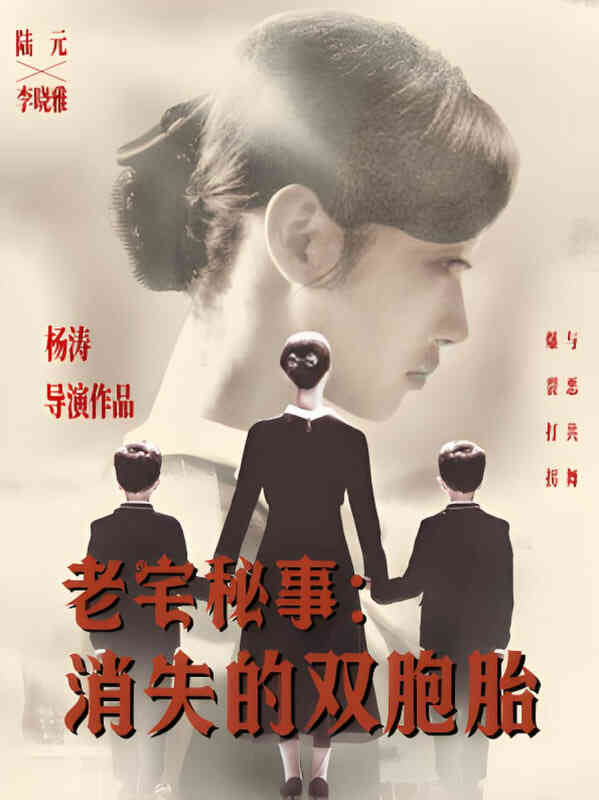 老宅秘事消失的双胞胎(消失的孩子)