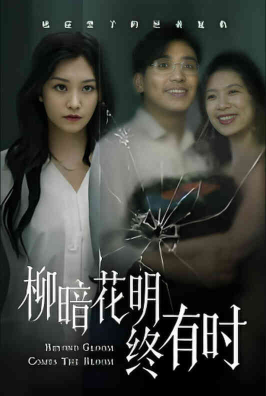 柳暗花明终有时