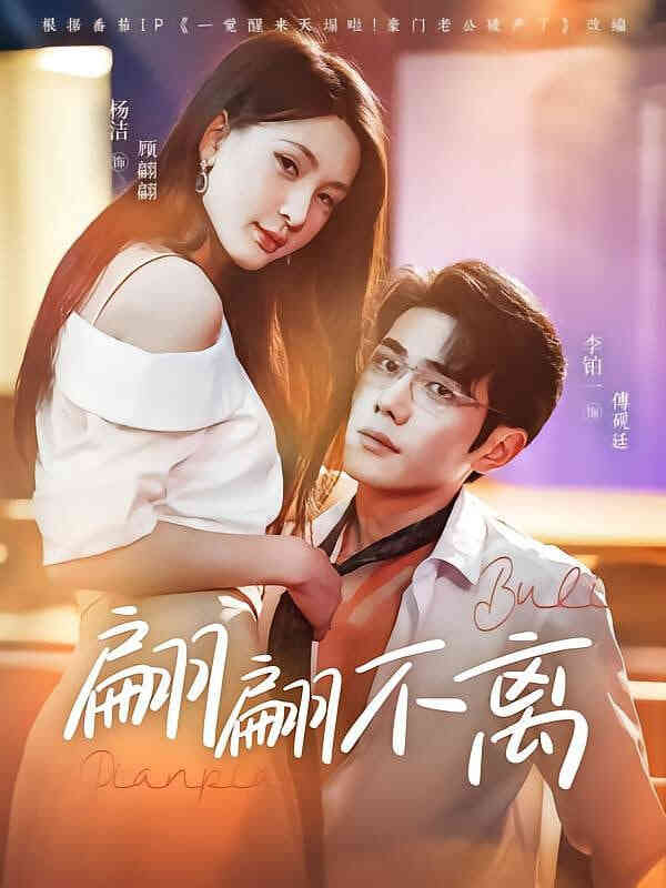 翩翩不离