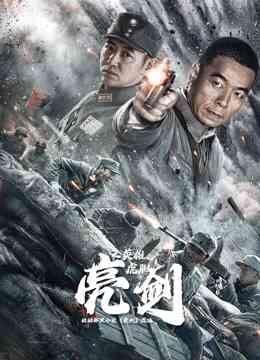 亮剑之英雄虎胆