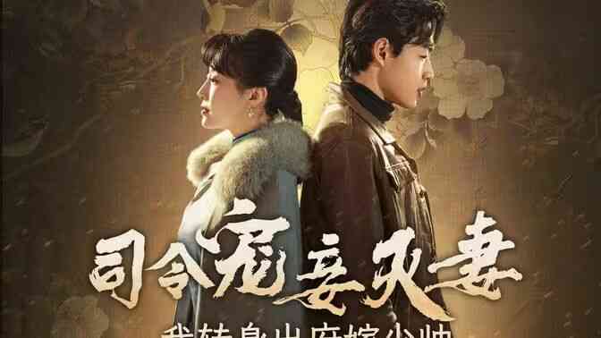 司令宠妾灭妻,我转身出府嫁少帅