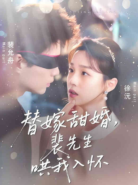 替嫁甜婚裴先生哄我入怀