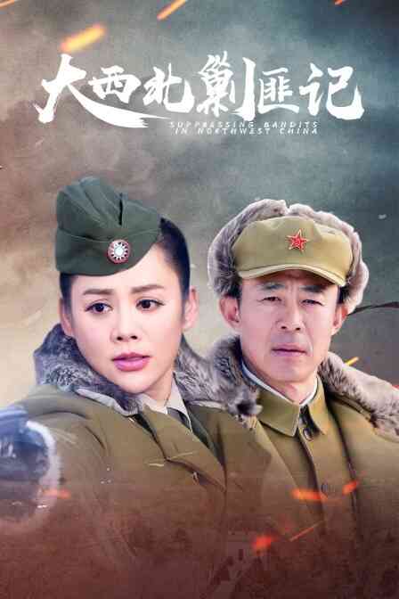 大西北剿匪记