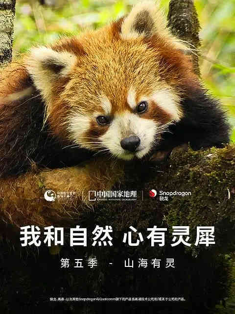 我和自然 心有灵犀 第五季