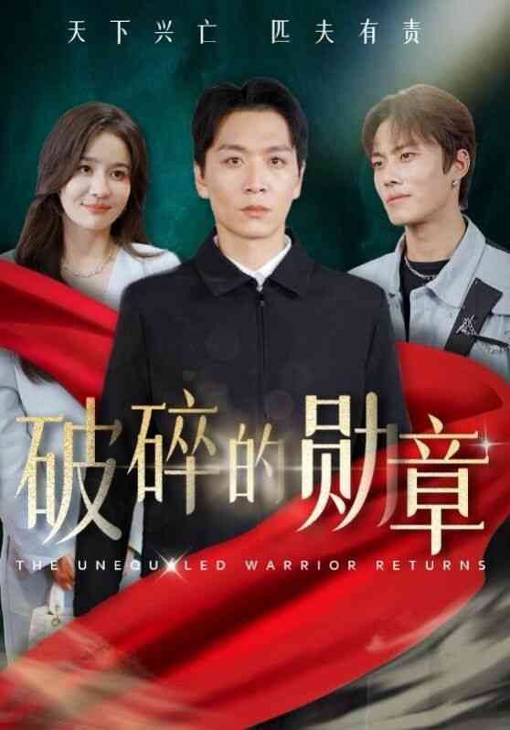 破碎的勋章(被戏子侮辱后我国士的身份曝光)