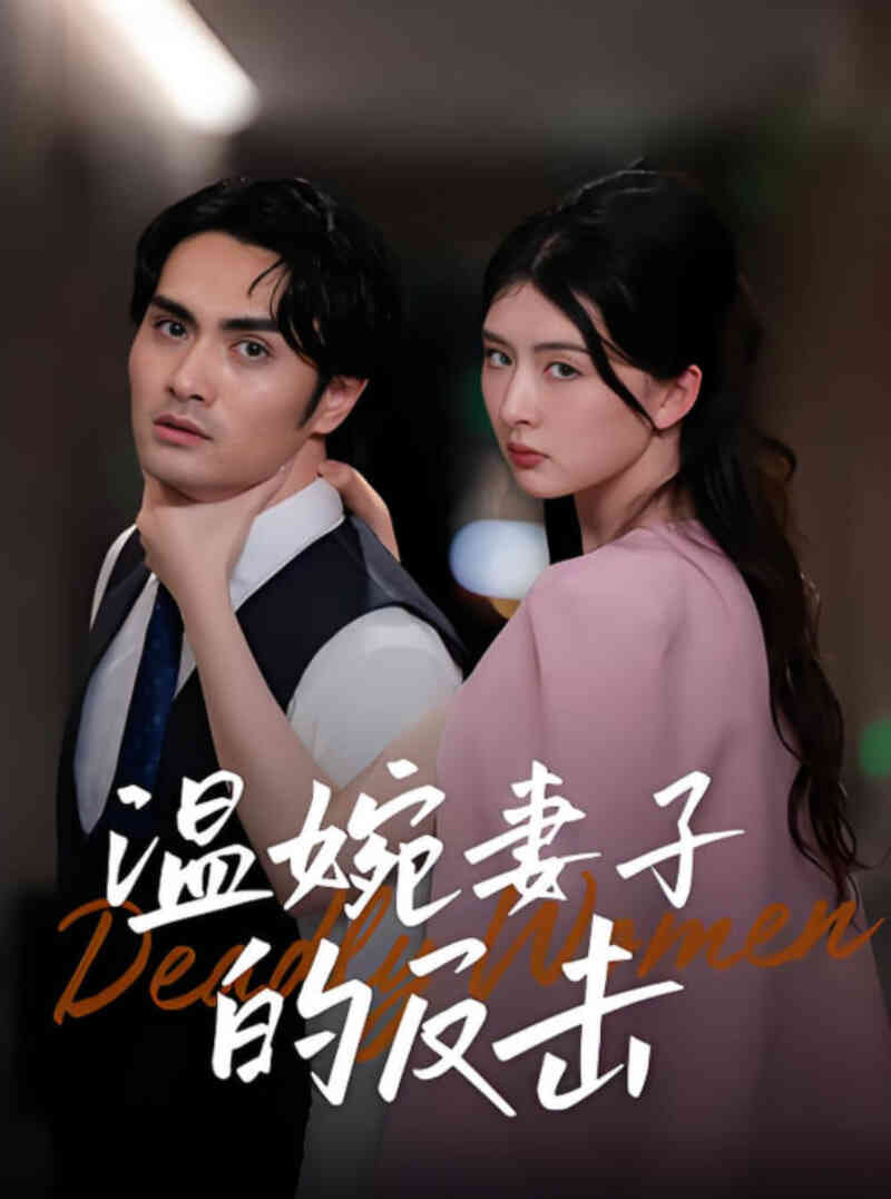 温婉妻子的反击