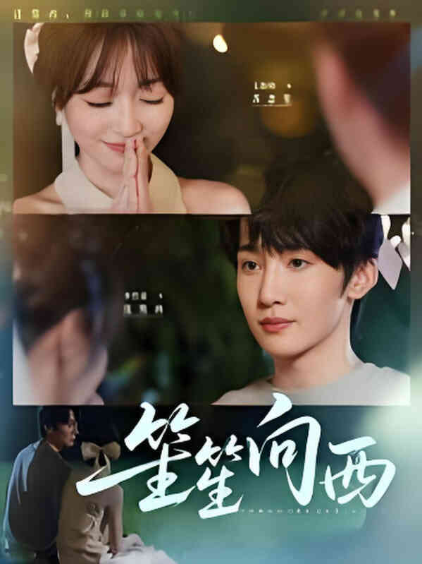 笙笙向西