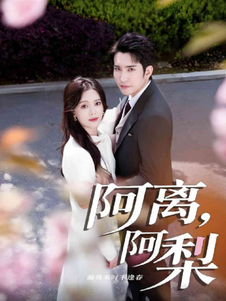 阿离阿梨