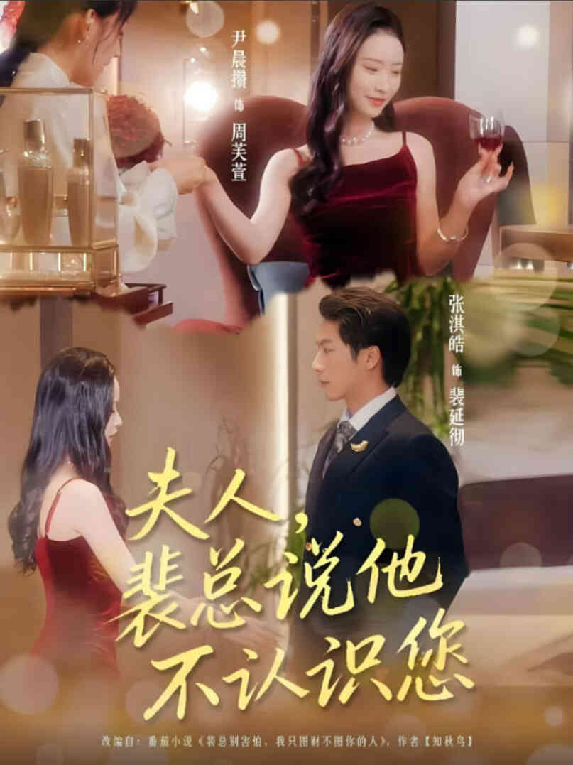 夫人裴总说他不认识您