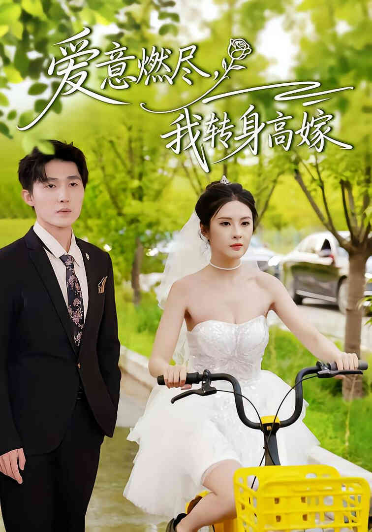 爱意燃尽,我转身高嫁