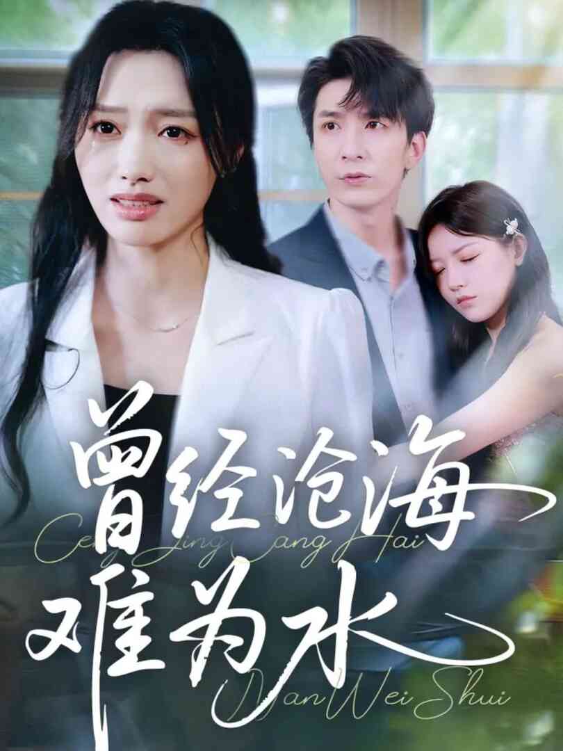 曾经沧海难为水 2025