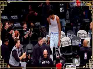 NBA常规赛 掘金VS黄蜂 20250202