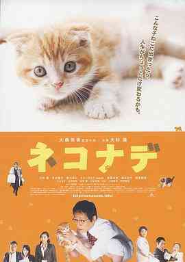 小猫奇缘