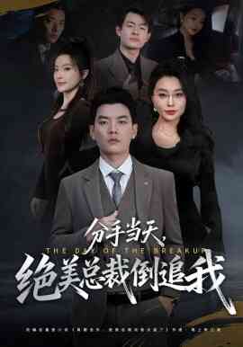 分手当天,绝美总裁倒追我