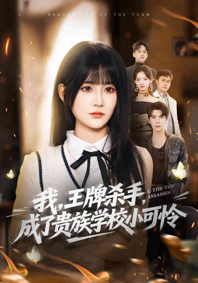 我,王牌杀手,成了贵族学校小可怜(我王牌杀手成了贵族学校小可怜)