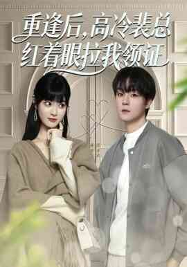 重逢后，高冷裴总红着眼拉我领证