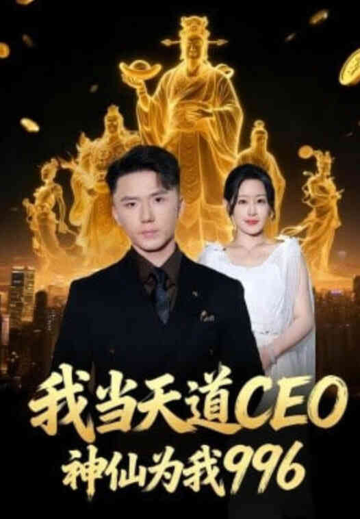 我当天道CEO,神仙为我996
