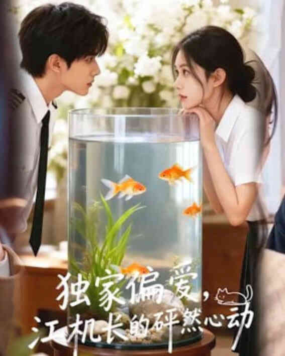 独家偏爱,江机长的砰然心动&恋心月下