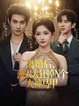 离婚后,薄太太狂掉N个大神马甲